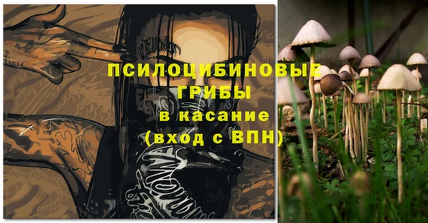 apvp Балабаново