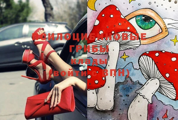 apvp Балабаново
