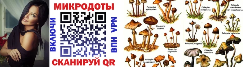 mega маркетплейс  Козельск  Галлюциногенные грибы MAGIC MUSHROOMS 